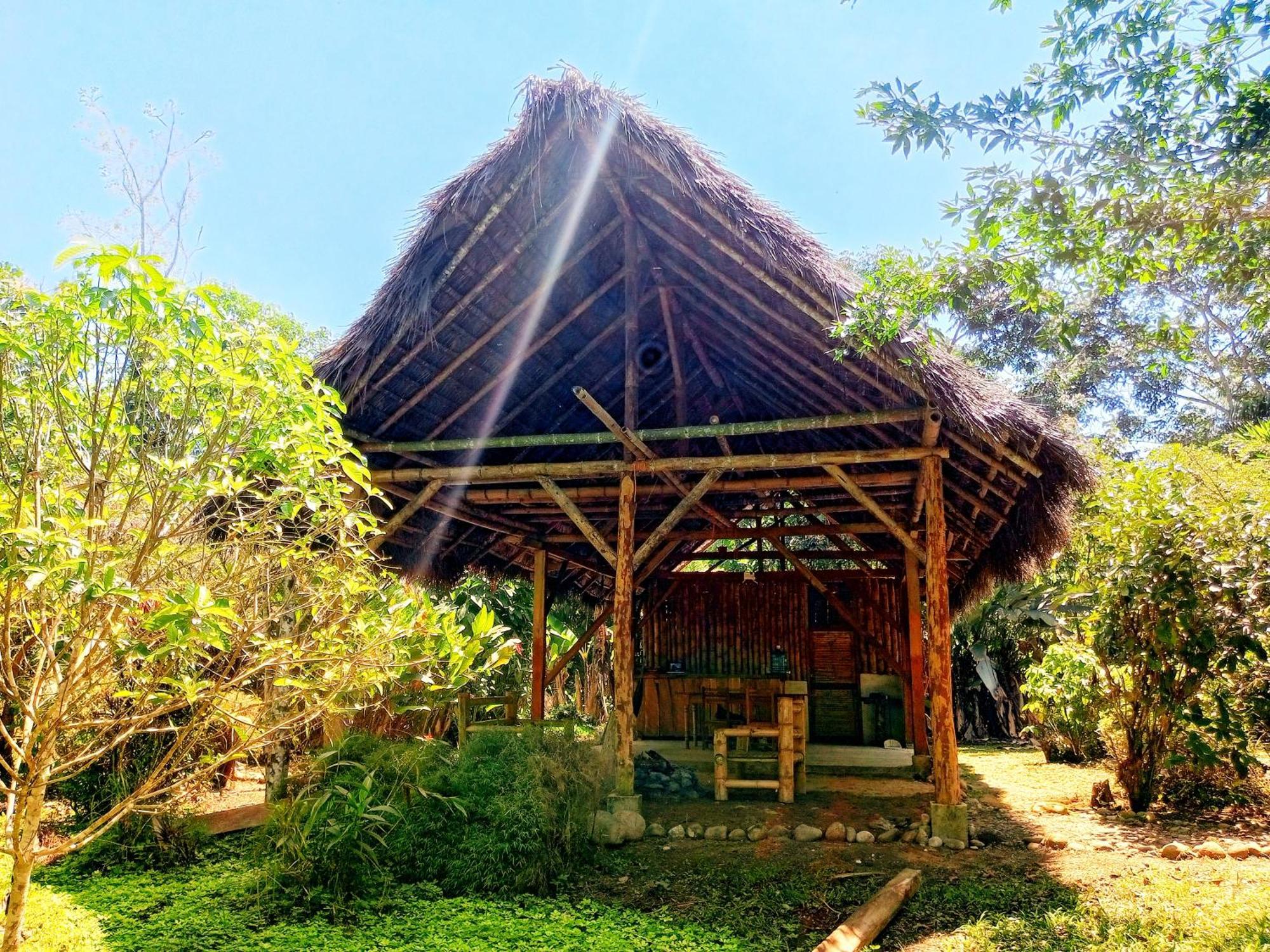 Cabanas Awana Río Arajuno Kültér fotó