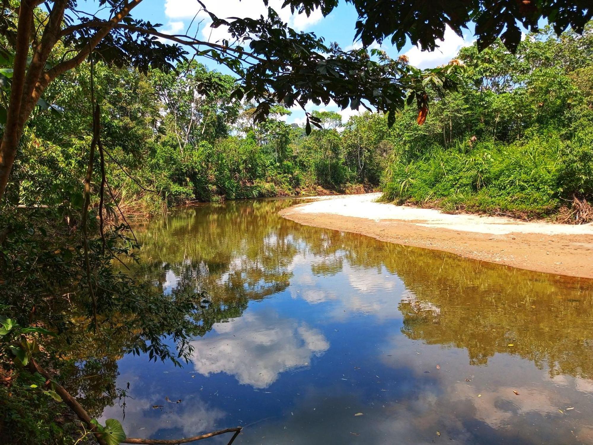 Cabanas Awana Río Arajuno Kültér fotó