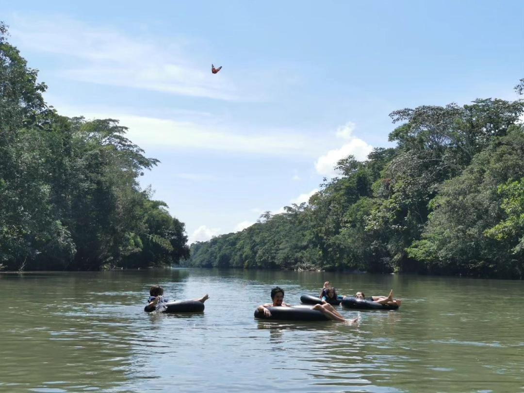 Cabanas Awana Río Arajuno Kültér fotó